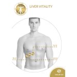 Liver Vitality - Image 2
